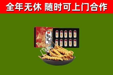 平顶山回收冬虫夏草价格